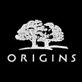 Origins icon