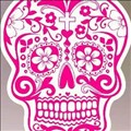 Pink Taco icon