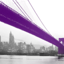 Pramex International icon