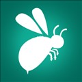 Report Bee icon