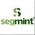 Segmint icon