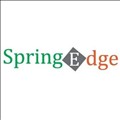 Spring Edge icon