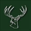 Stag Arms icon