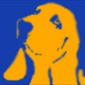 SymbolHound icon