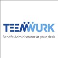 TEEMWURK Inc icon