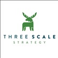 Three Scale icon