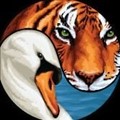 TigerSwan icon