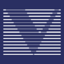 Veritas Capital icon