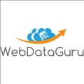 WebDataGuru icon