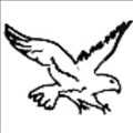 White Hawk Software icon