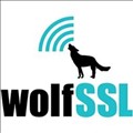 wolfSSL Inc. icon