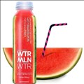 WTRMLN WTR icon