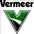 Vermeer icon