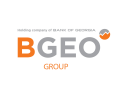 BGEO Group icon