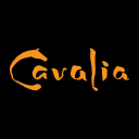 Cavalia icon