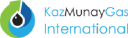 KMG International icon