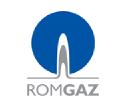 S.N.G.N Romgaz icon