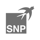 SNP Schneider-Neureither & Partner icon