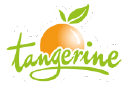 Tangerine Confectionery icon