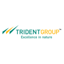 Trident Group icon