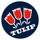 Tulip icon