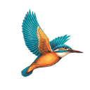 United Breweries Group icon