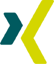 XING icon