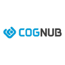 Cognub Decision Solutions Pvt. Ltd.  icon