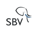 SBV Services icon