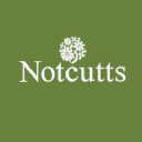 Notcutts icon
