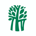 Banyan Tree icon