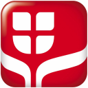 Ring International Holding AG icon