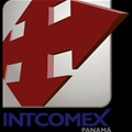 Intcomex icon