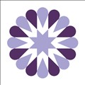 SocialFlow icon