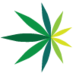 American Cannabis Company icon