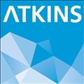 Atkins icon