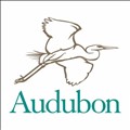Audubon icon