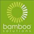 Bamboo Solutions icon