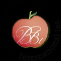BBI International icon