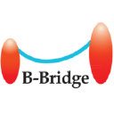 B-Bridge International icon