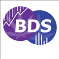 BDS Analytics icon