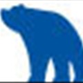 BEAR Data Solutions icon