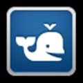 Beluga icon