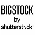 Bigstock icon