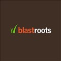 BlastRoots icon