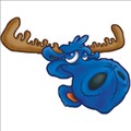 Blue Moose Tees icon