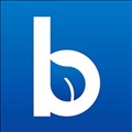 Blueleaf icon