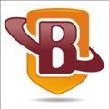 BrandShield icon