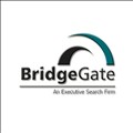 BridgeGate icon
