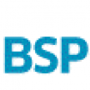 BSP Software icon